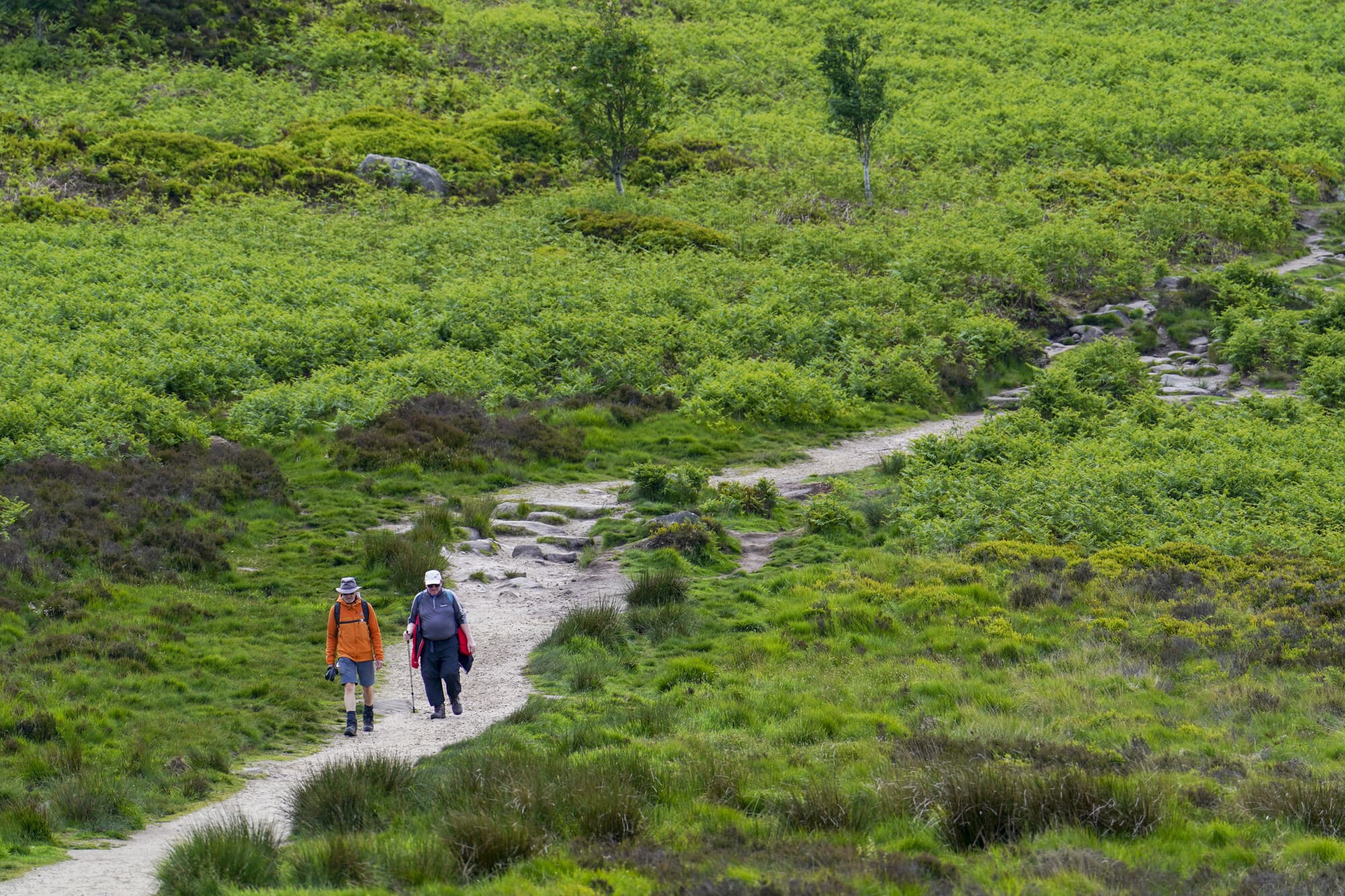 Two people hiking up a footpath on Ilkley moor with walking poles