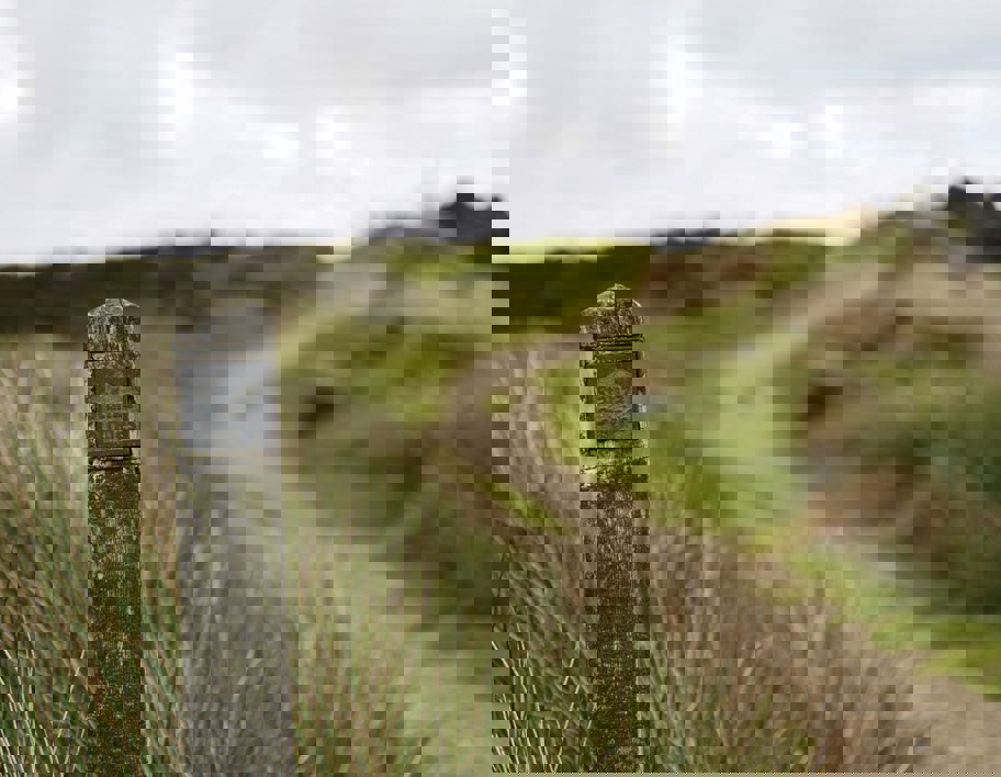 Stanza Stones Path In Ilkey