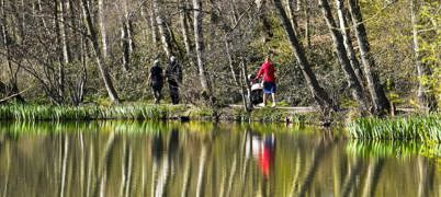 Newmillerdam In Wakefield