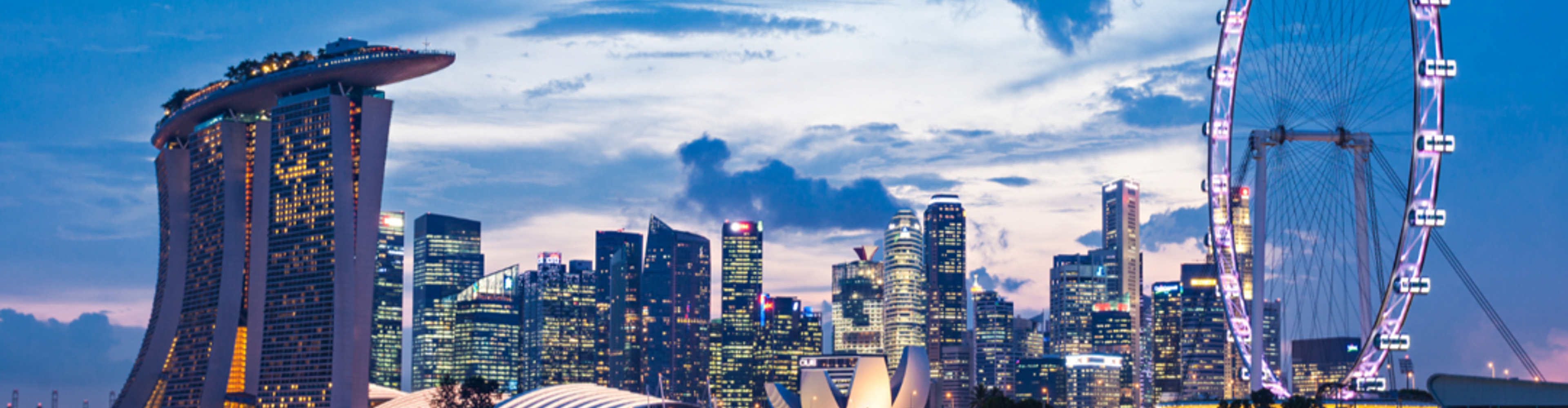 Singapore City Landscape