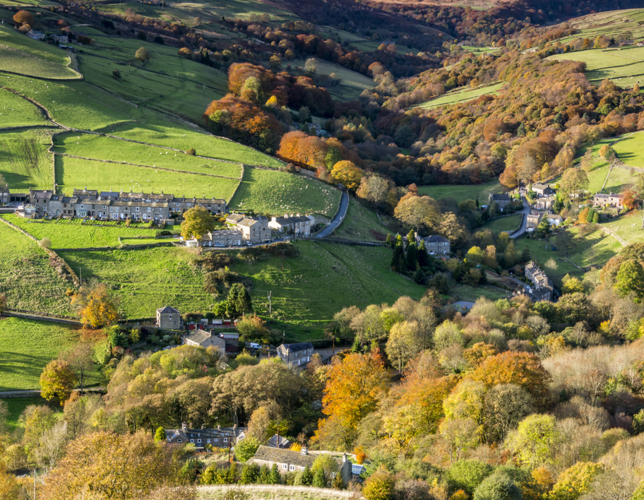 Array of houses on a green landscape