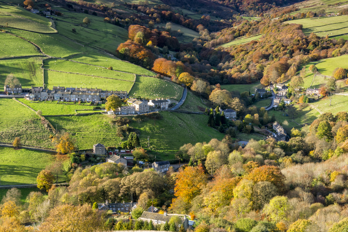 Array of houses on a green landscape