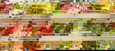 Fruit And Veg Store At Darley Street Market