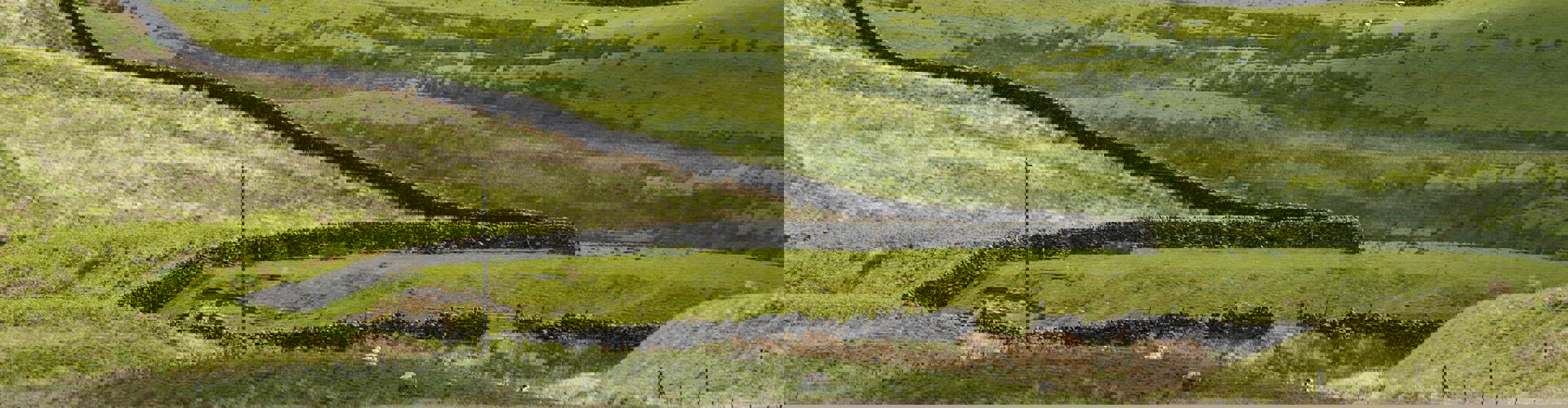 Countryside Ilkley Moor